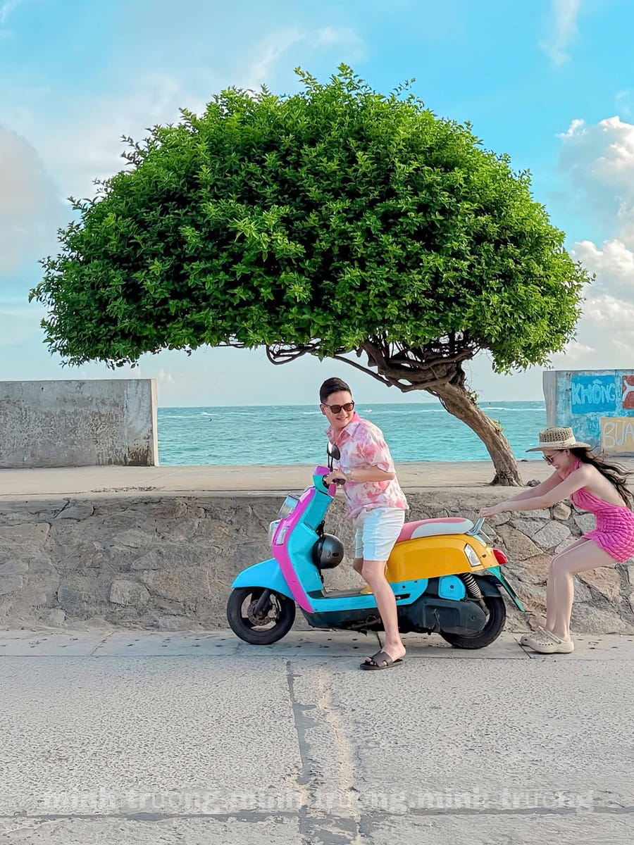 Cây Cô Đơn Đảo Phú Quý – Điểm Check-in