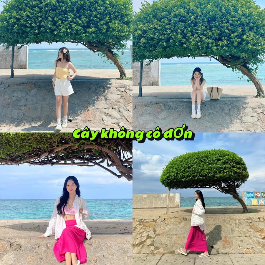 Ảnh slide minh họa 4