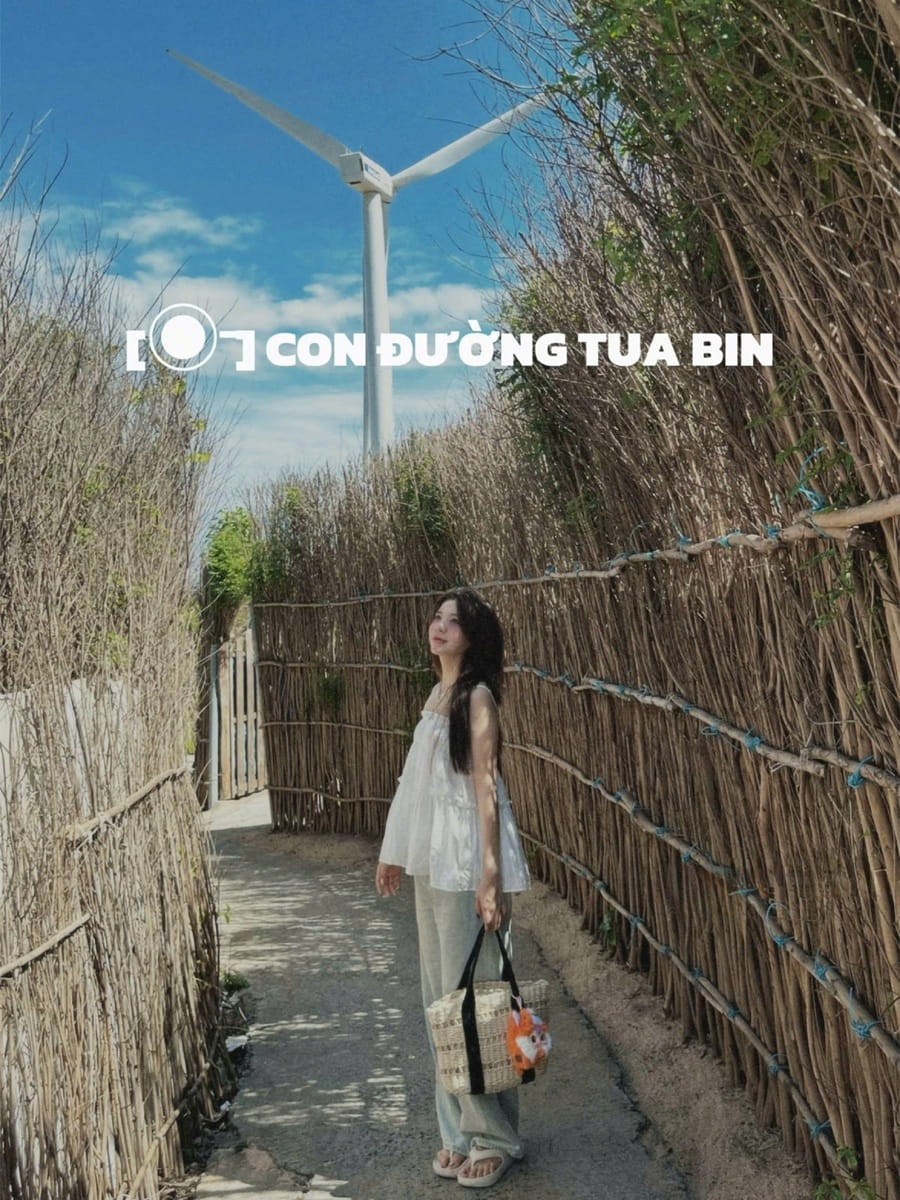 Ảnh slide minh họa 3