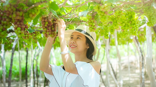 Ảnh slide minh họa 1