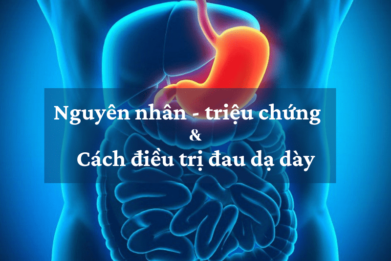 Nguyên Nhân Triệu Chứng Và Cách Giảm Đau Dạ Dày